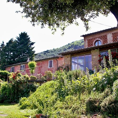 Casa Gaia Casa de hóspedes Lucca Exterior foto