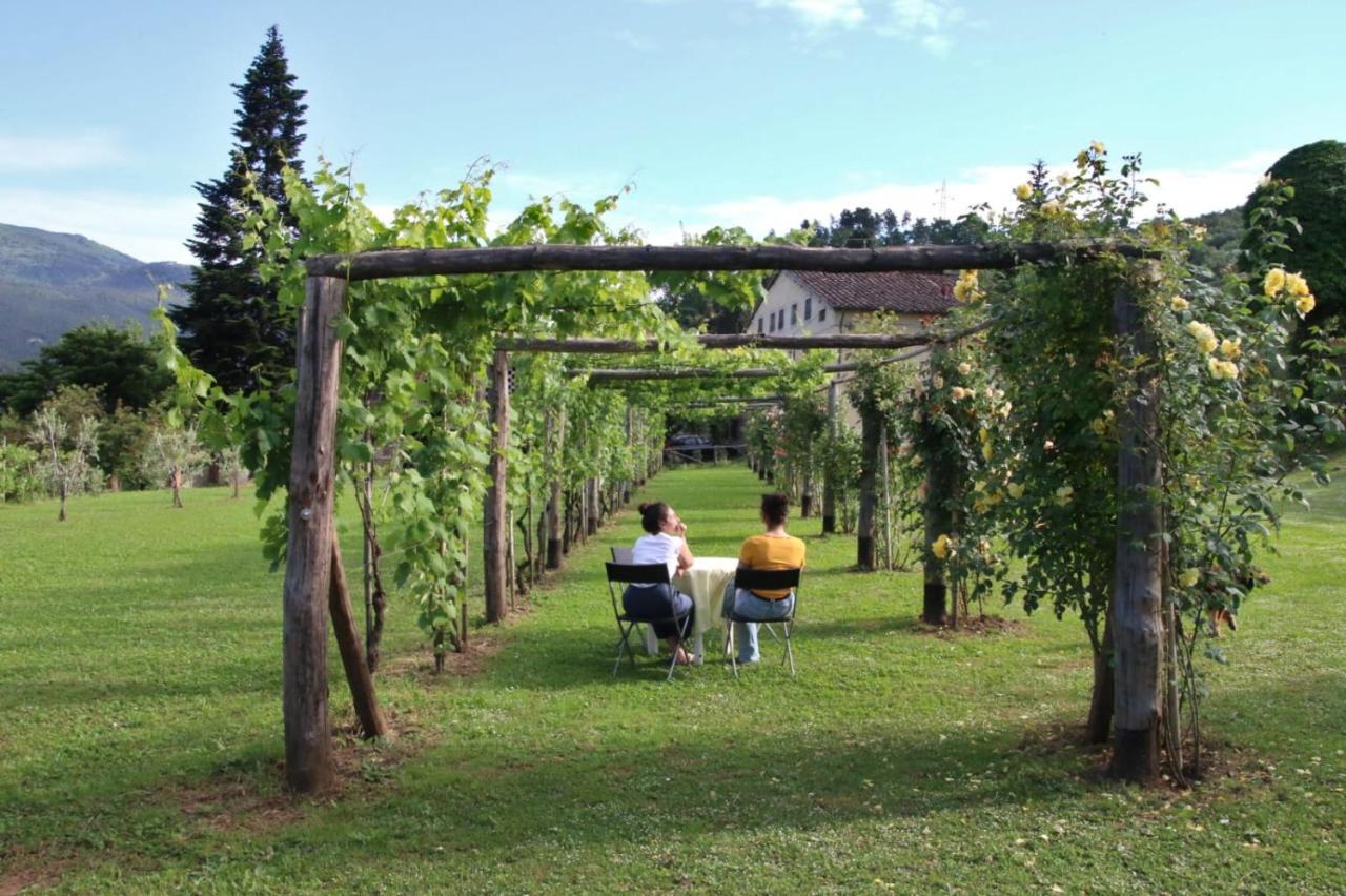 Casa Gaia Casa de hóspedes Lucca Exterior foto